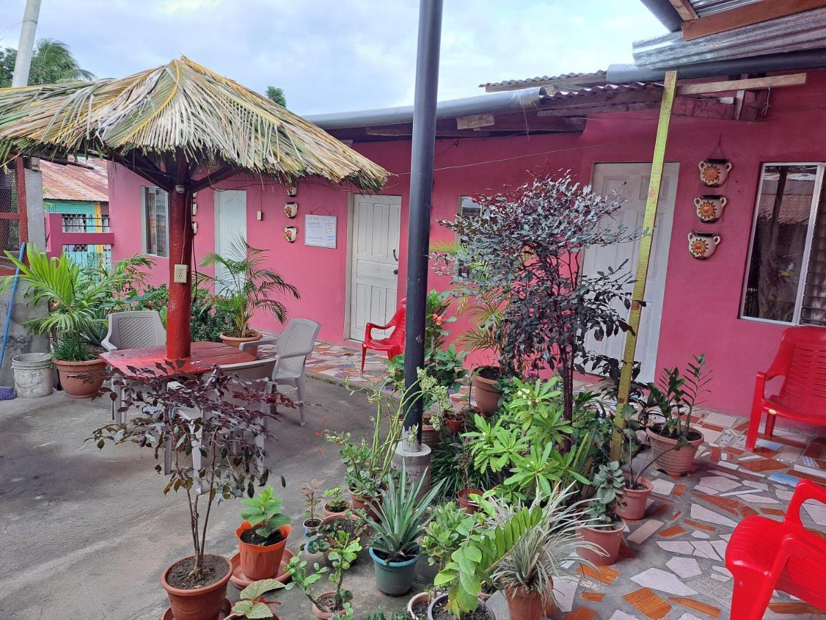 Guest House Nena 모요갈파 외부 사진